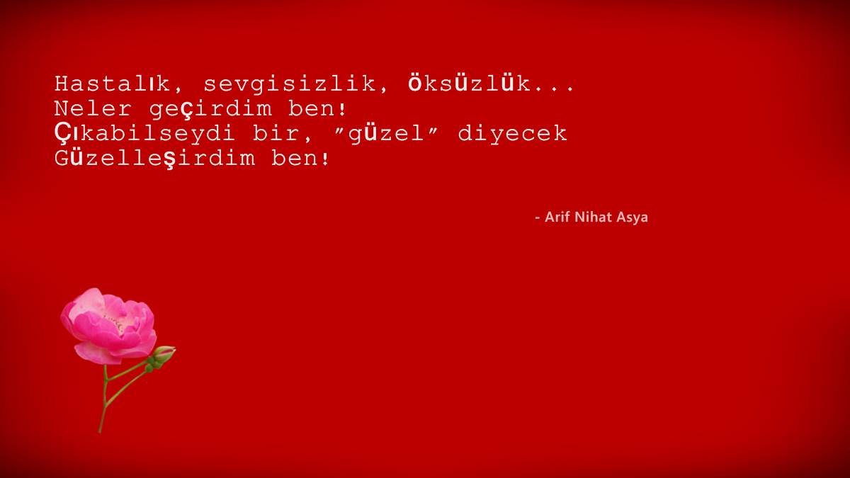 Arif Nihat Asya Eserleri