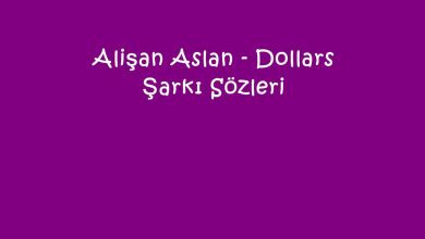Photo of Alişan Aslan – Dollars Şarkı Sözleri