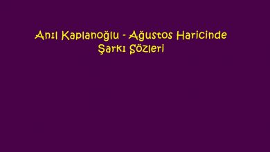 Photo of Anıl Kaplanoğlu – Ağustos Haricinde Şarkı Sözleri
