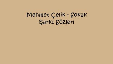 Photo of Mehmet Çelik – Sokak Şarkı Sözleri