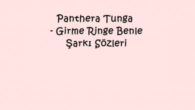 Photo of Panthera Tunga – Girme Ringe Benle Şarkı Sözleri