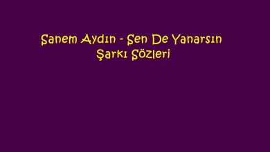 Photo of Sanem Aydın – Sen De Yanarsın Şarkı Sözleri