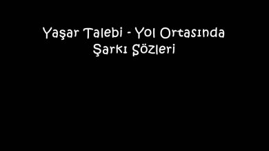Photo of Yaşar Talebi – Yol Ortasında Şarkı Sözleri