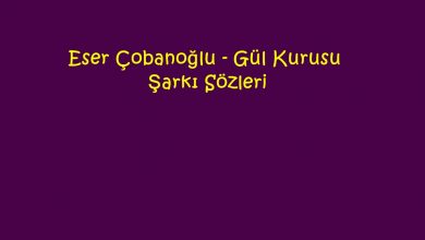Photo of Eser Çobanoğlu – Gül Kurusu Şarkı Sözleri
