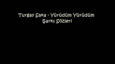 Photo of Turgay Saka – Yürüdüm Yürüdüm Şarkı Sözleri
