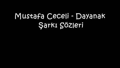 Photo of Mustafa Ceceli – Dayanak Şarkı Sözleri