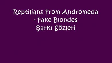 Photo of Reptilians From Andromeda – Fake Blondes Şarkı Sözleri