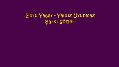 Photo of Ebru Yaşar – Yalnız Uyunmaz Şarkı Sözleri