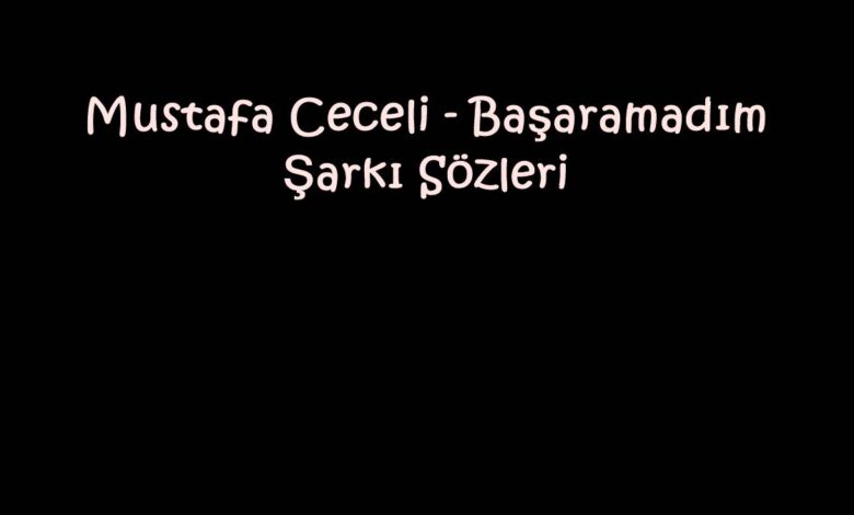 Mustafa Ceceli - Başaramadım Şarkı Sözleri